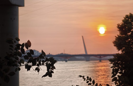 도시의 일몰, 그리고 월드컵대교