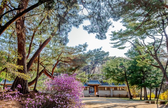 봄빛의 충만함이 깃든 곳