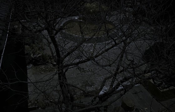 달그림자