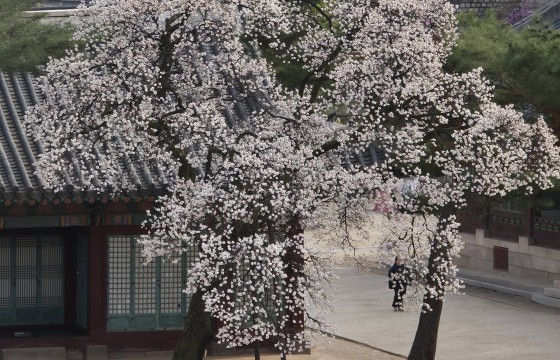 봄날의 데이트