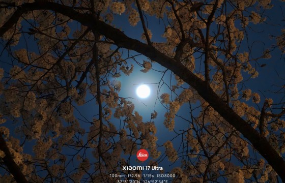 월포앵화(月抱櫻花), 벚꽃을 품은 달