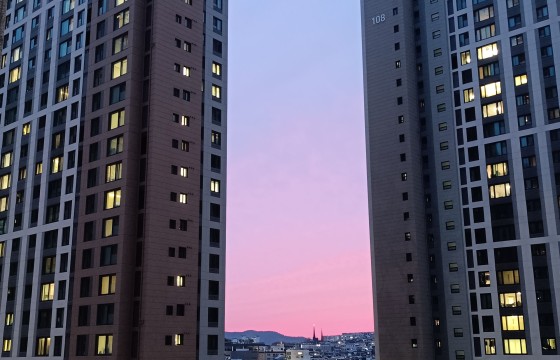 우리동네 너도 참 나처럼 힘들어보이는 구나 그래도 다음엔 더 잘될꺼야