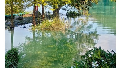 수면 위의 윤슬, 그림자의 변주