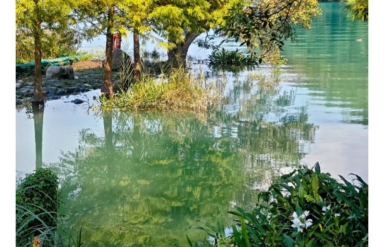 수면 위의 윤슬, 그림자의 변주