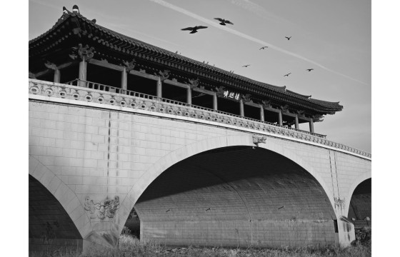 선과 명암의 대비로 기록한 우리 동네의 유산
