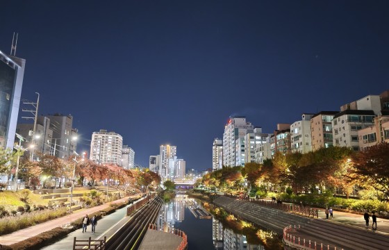 불광천의 야경