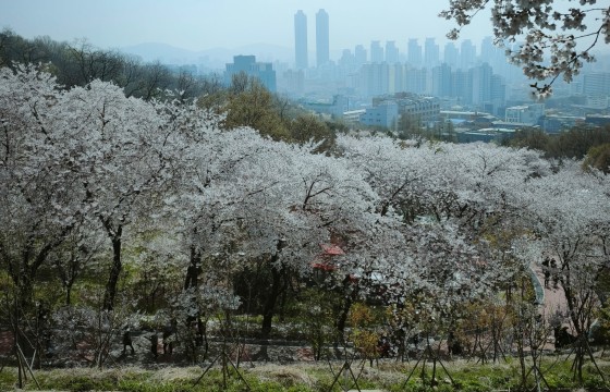 경계