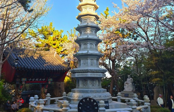 부산의 봄