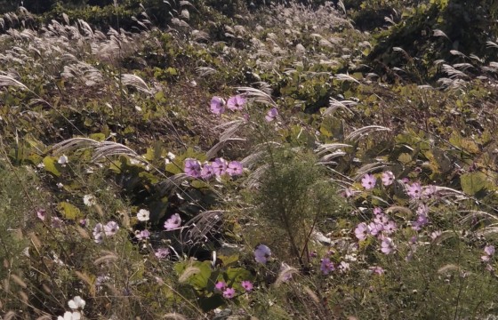 바람의 결을 따라