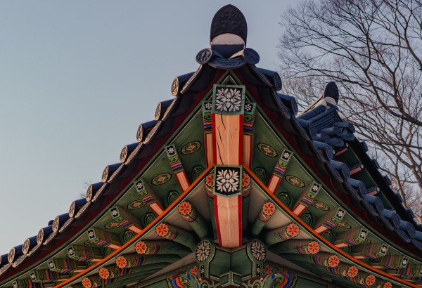 조선의 콧대