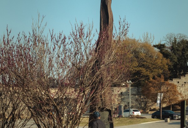 새처럼 노인처럼